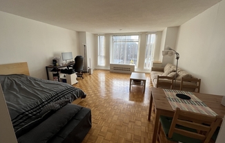 Studio, 1 bath, 500 sqft, $2,500, Unit 606