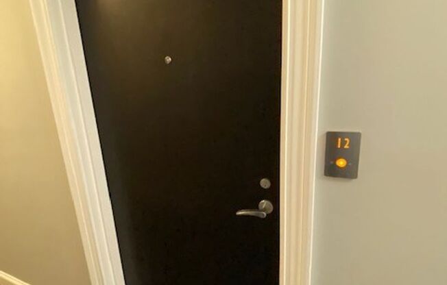 1 bed, 1 bath, $2,300