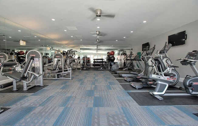 A gym with a variety of exercise equipment.