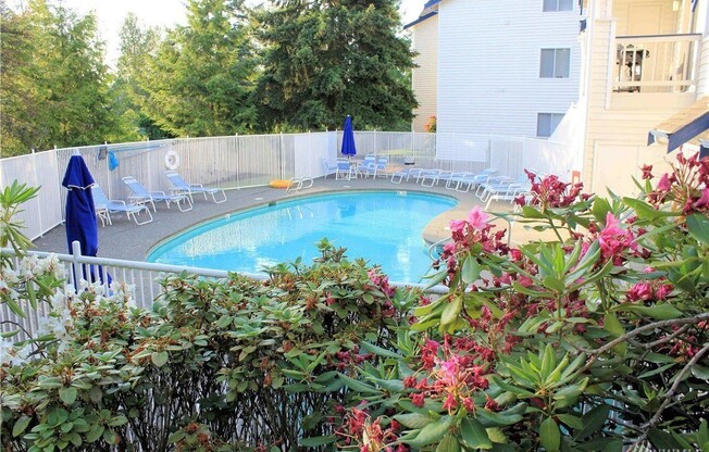1 Bedroom Near Lake Washington With Pool!