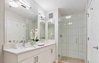 Luxurious Bathroom at 23rd Place Apartment, Chicago, IL, 60654