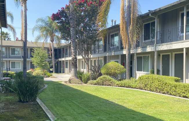 the courtyard of a condo building with a lawn and palm trees