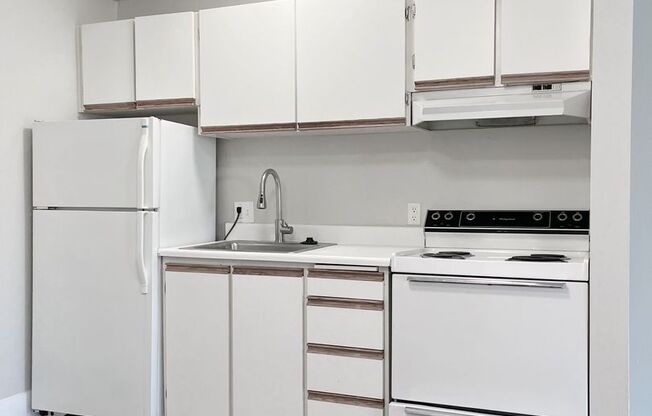 Studio, 1 bath, 480 sqft, $1,350, Unit 116