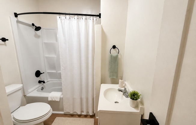 Studio, 1 bath, $1,154, Unit 113