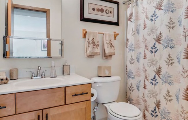 Renovated Unit Bathroom