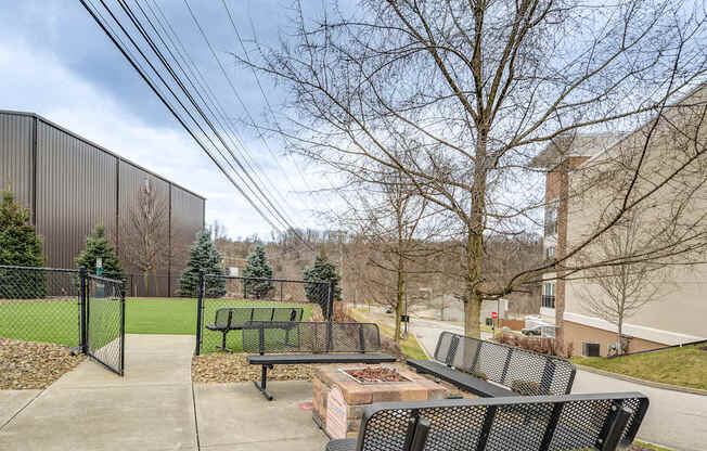 A park with a fence, benches and trees.