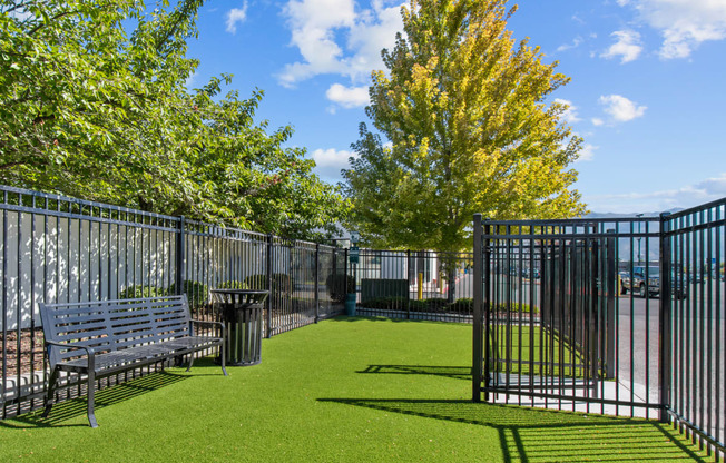 a grassy area with a bench and trees in the background