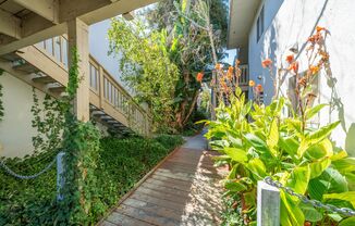 4230 San Pablo Dam Rd.