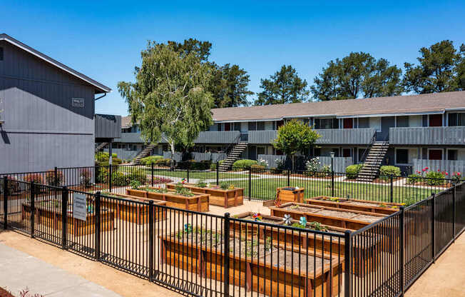 A black fence surrounds a garden with raised beds.