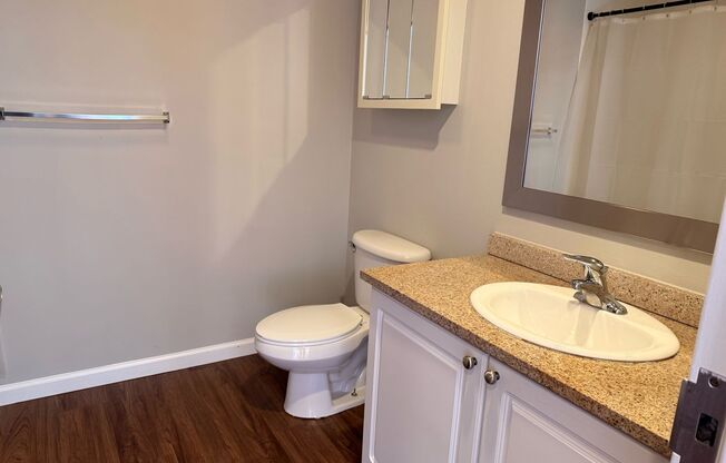 1 bed, 1 bath, 549 sqft, $1,325, Unit 310