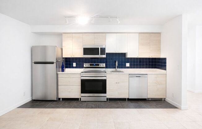 Modern Basement Unti 1 Bedroom/1 Bath, Recently renovated, new stainless steel appliances, flooring, bathroom, and lighting. Shaw Neighborhood.