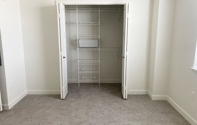 an empty walk in closet in a bedroom with carpeting