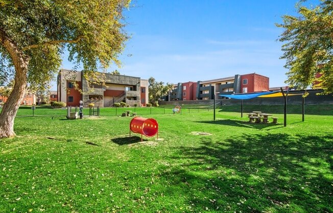 Pet park agility equipment at Saratoga Ridge, Phoenix, AZ, 85022