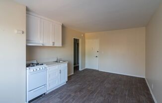 Studio, 1 bath, 252 sqft, $1,350, Unit 29