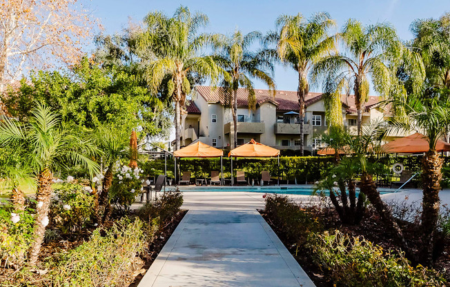 A pathway leads to a building surrounded by palm trees.