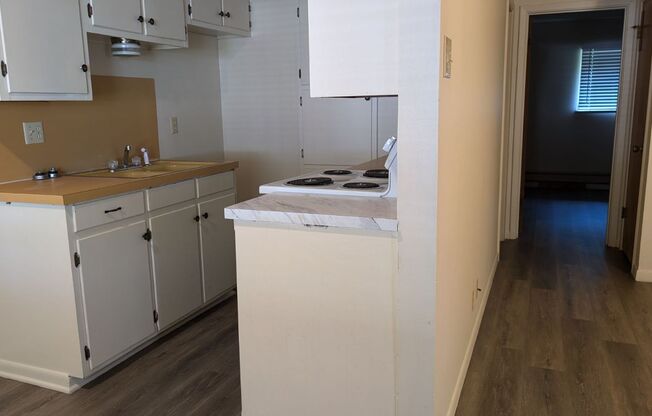 1 bed, 1 bath, 700 sqft, $750, Unit 1910