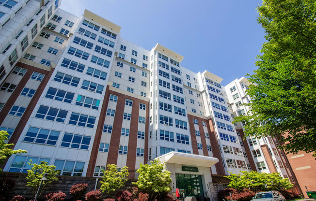 The Amelia in Quincy, MA 02169