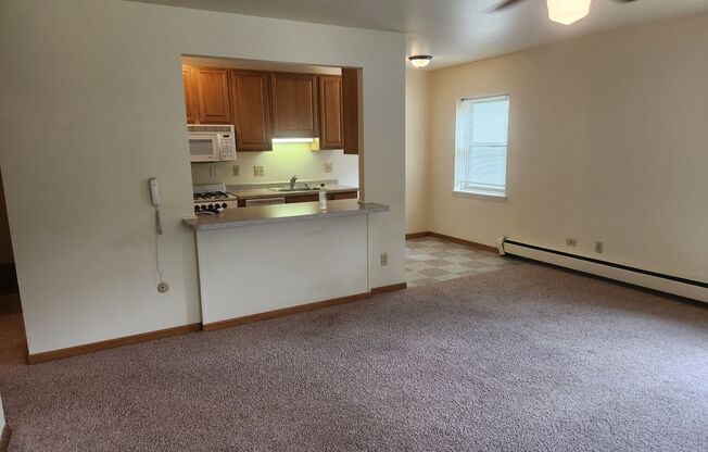 1 bed, 1 bath, 590 sqft, $1,525