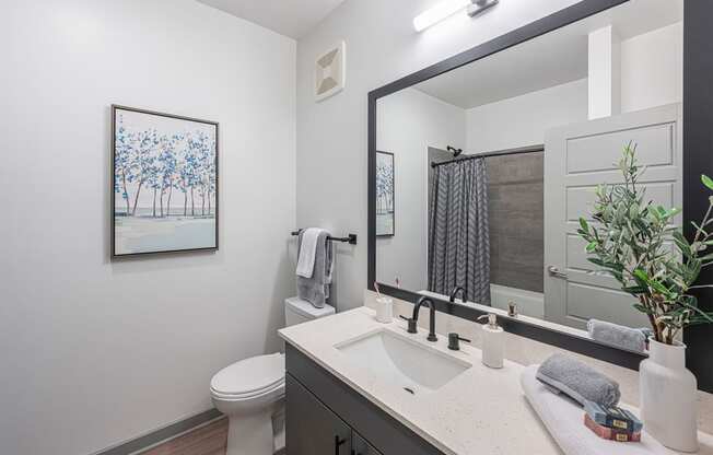 2-Bedroom Apartments in Chattanooga, TN - Populus Waterside - Bathroom with Quartz Countertop, Large Vanity Mirror, Grey Cabinet, and Wall Art.