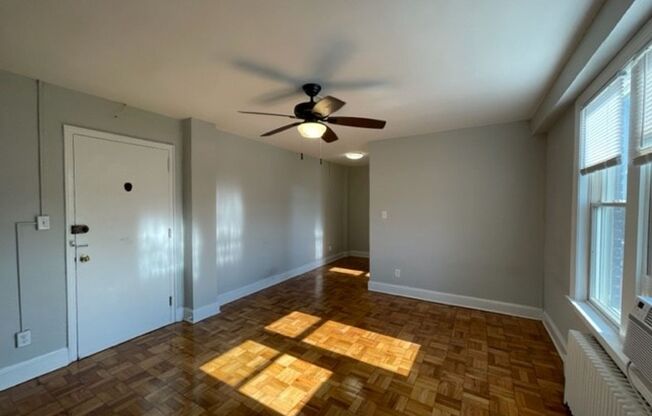 Studio, 1 bath, 300 sqft, $1,575, Unit 503