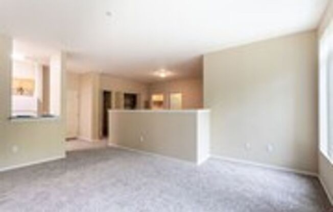 Studio, 1 bath, 500 sqft, $1,250