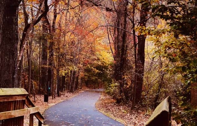 A wooden boardwalk leads through a forest in autumn.