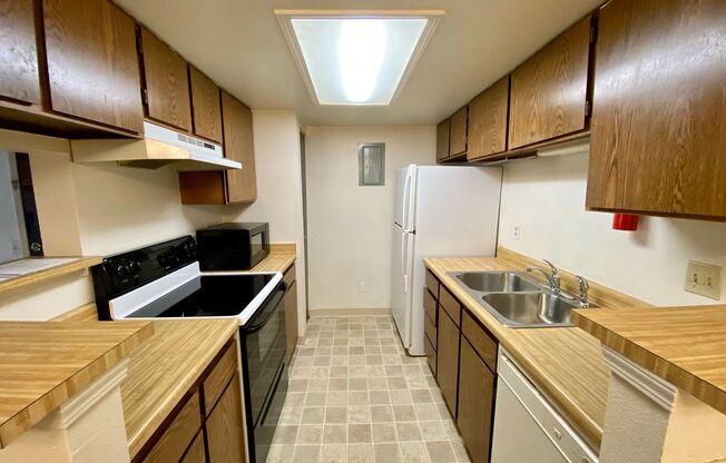 1 bed, 1 bath, $1,250