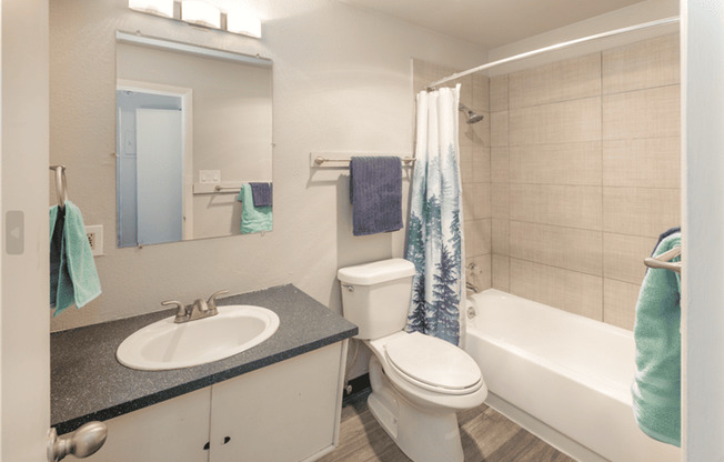 Studio, 1 bath, 412 sqft, $850