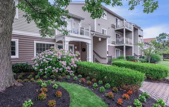 a close up of a flower garden in front of a house