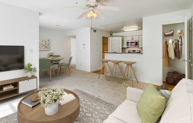 Carpeted Living Room