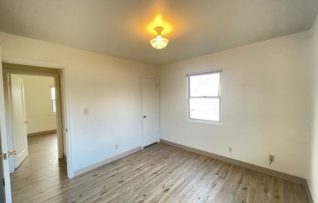 2 beds, 1 bath, $1,300