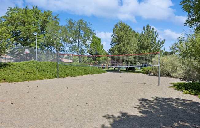A basketball court surrounded by a fence and trees.
