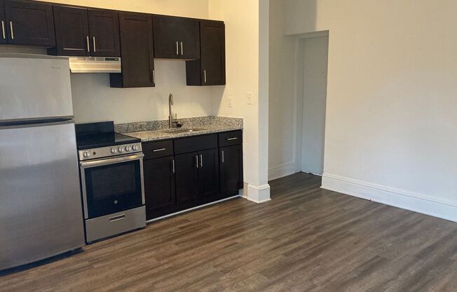 1 bed, 1 bath, 450 sqft, $1,299, Unit 1301-24