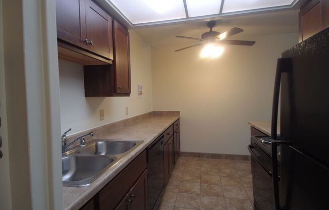 1 bed, 1 bath, 620 sqft, $1,195, Unit 207