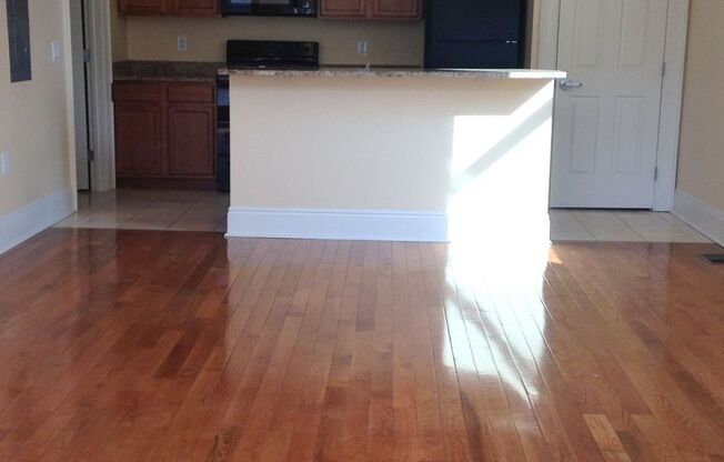 Now Leasing Beautiful Apartments in Downtown Davenport