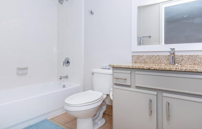 Studio, 1 bath, 411 sqft, $1,095
