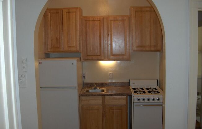 Studio, 1 bath, $1,100, Unit 001A