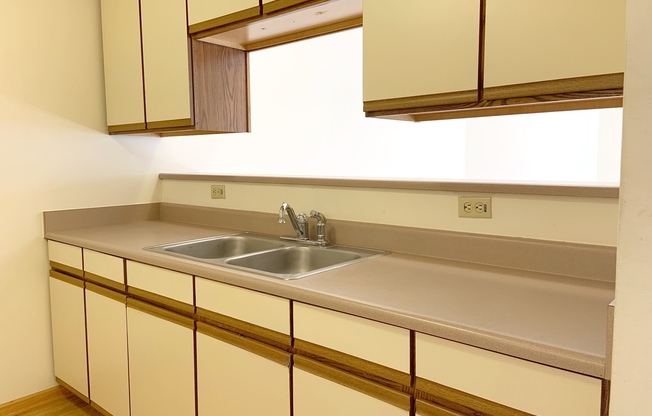 Spacious 1 Bedroom Unit, Downtown Waukesha, Hardwood Floors!