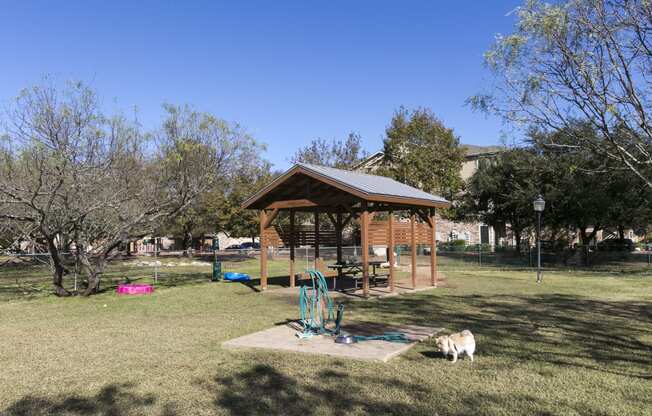 Dog park | Park at Monterey Oaks