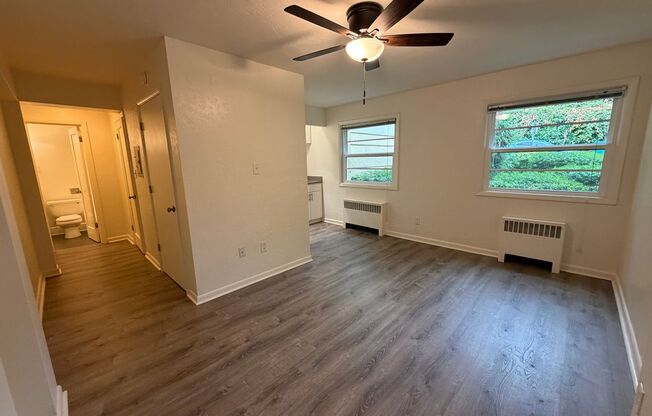 Studio, 1 bath, 374 sqft, $1,150, Unit 102