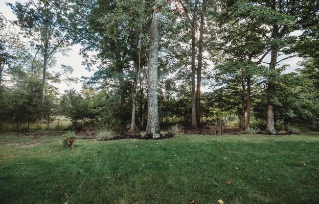 4 beds, 2 baths, $2,800