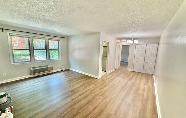 NEW LOWER PRICE! Arlington Gazebo Love, One Bedroom Close to Everything near Ballston