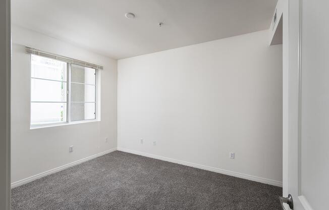 1 bed, 1 bath, 600 sqft, $2,600