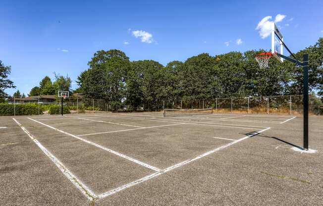 The Community Outdoor Basketball Court at Morningtree Park Apartments