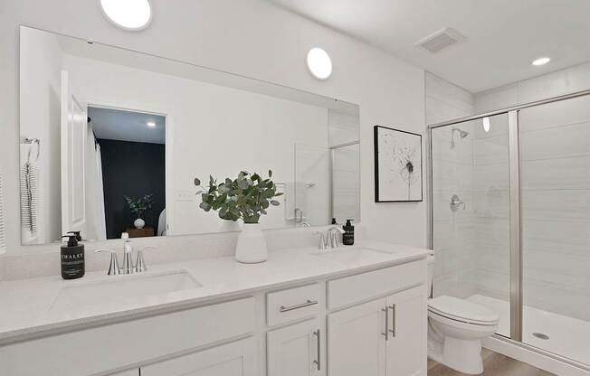 A white bathroom with a large mirror and a plant on the counter.