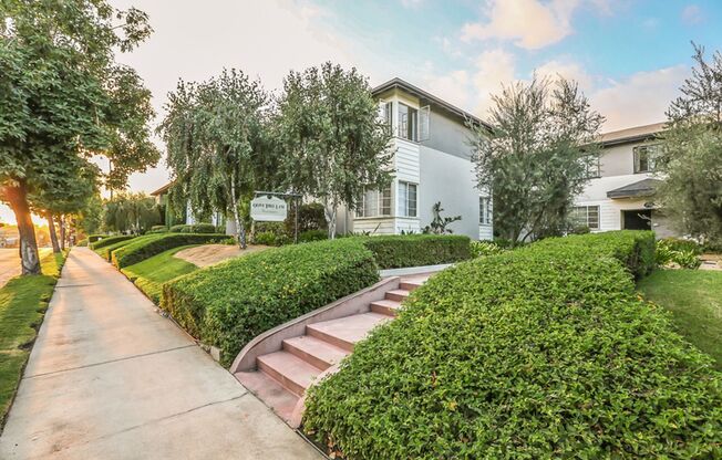 Home-Sweet-Home Vibe in Olive Tree!