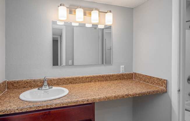 a bathroom with a sink and a mirror