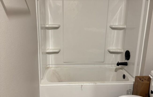 Studio, 1 bath, 458 sqft, $1,250, Unit 203