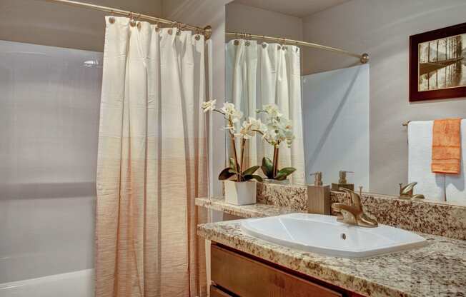 The Cove Renovated Bathroom Apartments in Federal Way, WA