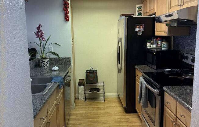 1 bed, 1 bath, 754 sqft, $2,600, Unit 1101